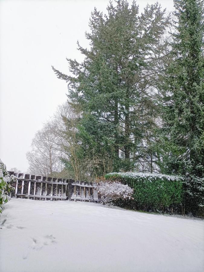 Bergfreude Chalet Braunlage Esterno foto